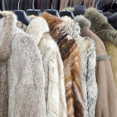 Synthetic Fur