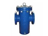 T Strainer