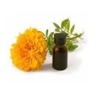 Tagetes Oil