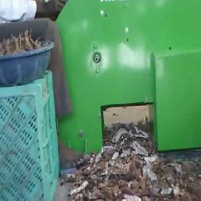 Tamarind Seed Removal Machine