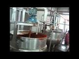 Tomato Ketchup Plant
