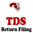 Tds Return Service