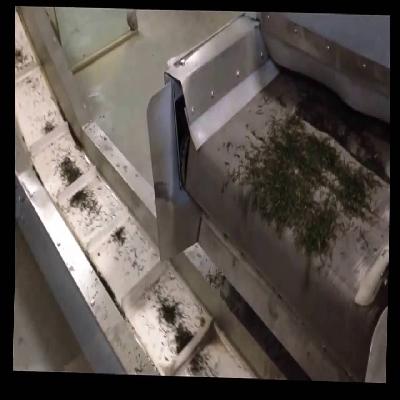 Tea Dryer Machine 
