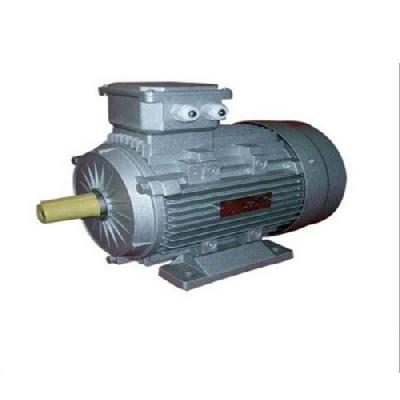 TEFC Induction Motor 