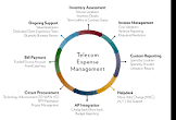 Telecom Expense Management Services