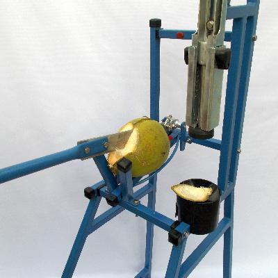 Tender Coconut Cutting Machine 