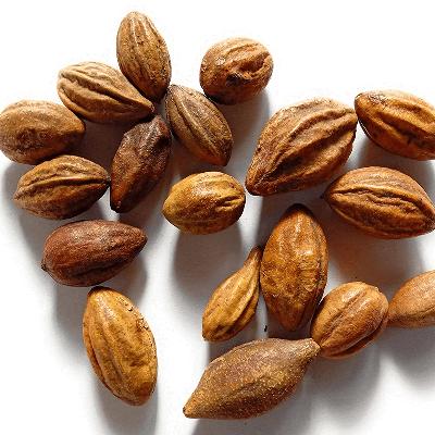 Terminalia Chebula Extract
