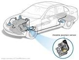 Throttle Position Sensors