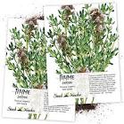 Thyme Seeds