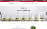 Tissue Culture Services
