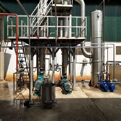Tomato Puree Processing Plant 