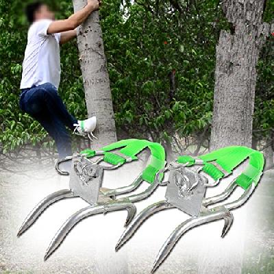 Tree Climbing Equipment