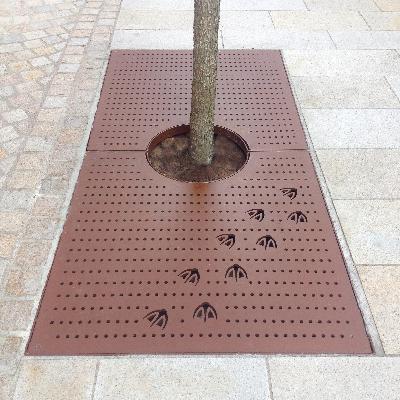 Tree Grill