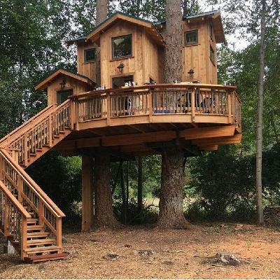 Tree House 