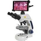 Trinocular Microscope
