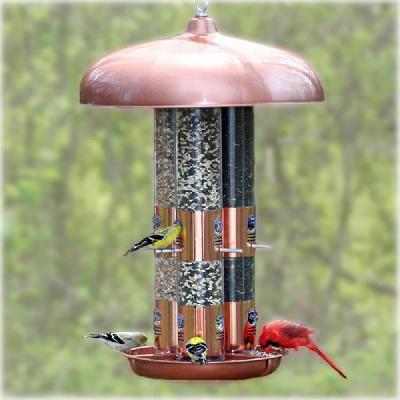 Tube Bird Feeder 