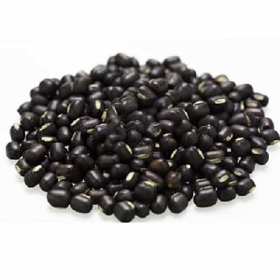 Urad Seeds