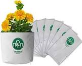 Uv Stabilized Nursery Bags