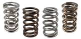 Valve Spring