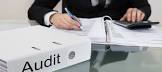 Vat Audit Services