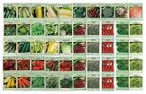 Vegetable Seeds