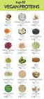 Vegetarian Protein