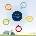 Vendor Consolidation Services
