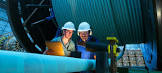 Vendor Inspection Service
