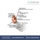 Venture Capital Services