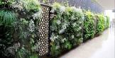 Vertical Garden