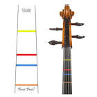 Violin Fingerboard