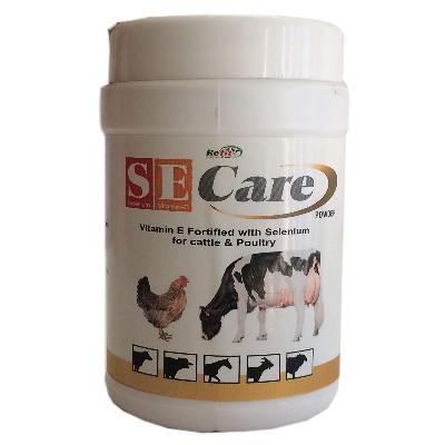 Vitamin E Selenium Supplement