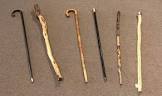 Walking Stick
