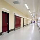 Wall Coating Service