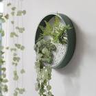 Wall Planter