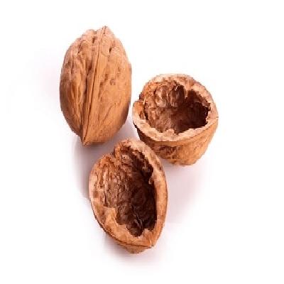Walnut Shell