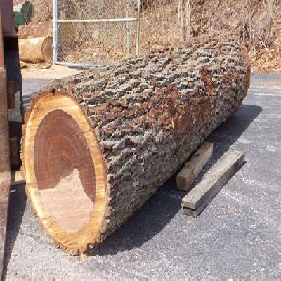 Walnut Wood Logs