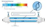Water Disinfection Systems