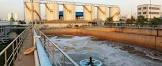 Water Treatment And Purifying Plants