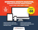 Website Migration Service