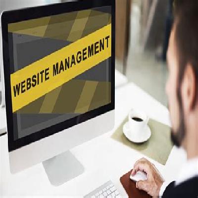 Website Management Service 