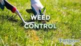 Weed Control