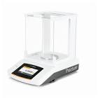 Weighing Balances