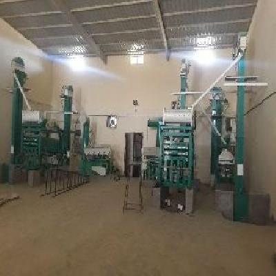Wheat Grading Plant 