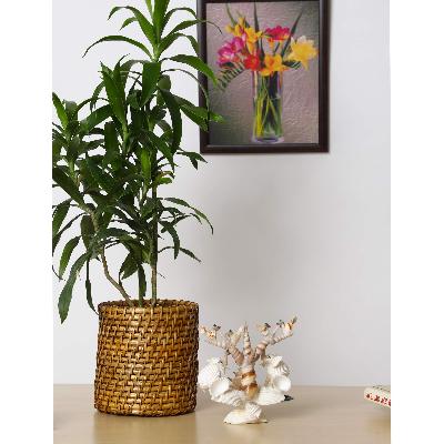 Wicker Planter
