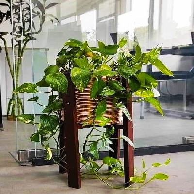 Wooden Planter Stand
