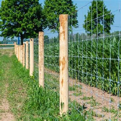 Woven Wire Fences