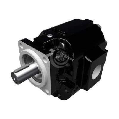 Cast Iron Gear Motors