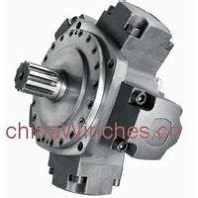 INTERMOT F68 series Radial Piston Motors
