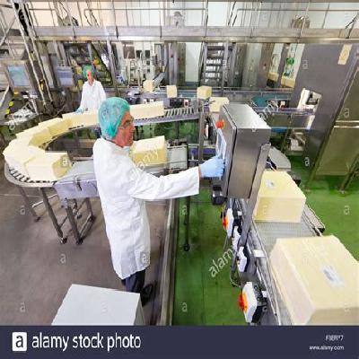 Food Processing Plant Panel